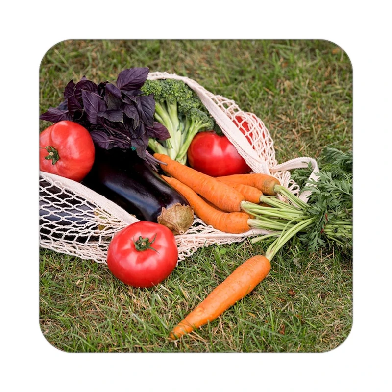 زیر لیوانی کاکتی طرح میوه مدل mp21423