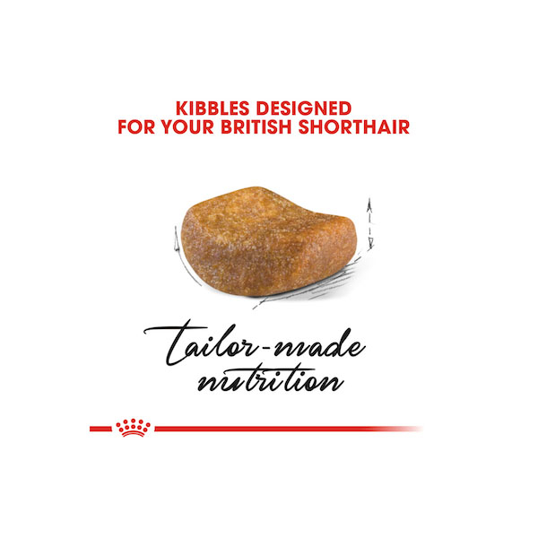غذای خشک گربه  رویال کنین مدل British Shorthair وزن 2 کیلوگرم