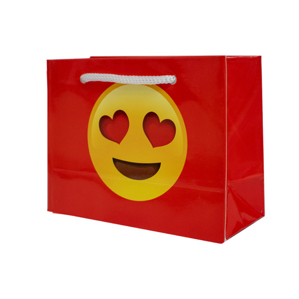 ساک هدیه مدل SD 161