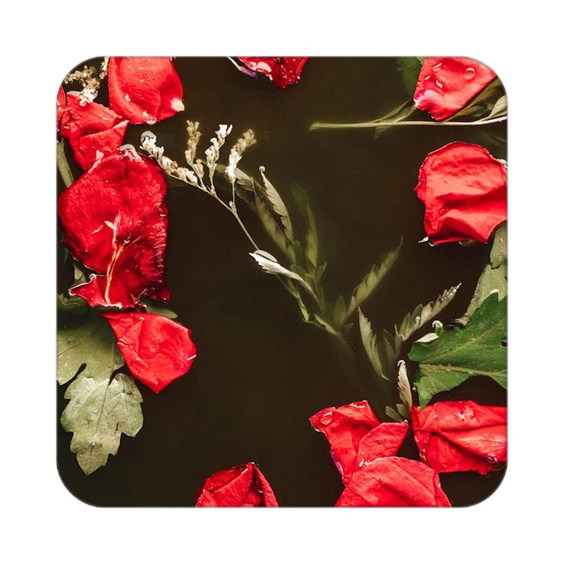 زیر لیوانی کاکتی طرح گل مدل mp19221