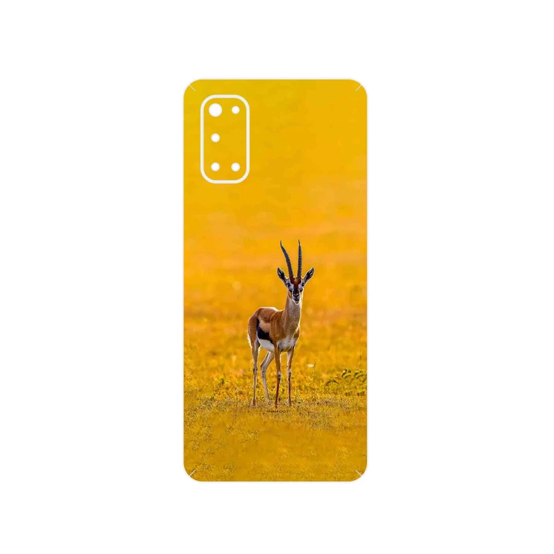 برچسب پوششی ماهوت مدل Gazelle مناسب برای گوشی موبایل ریلمی 7 Pro