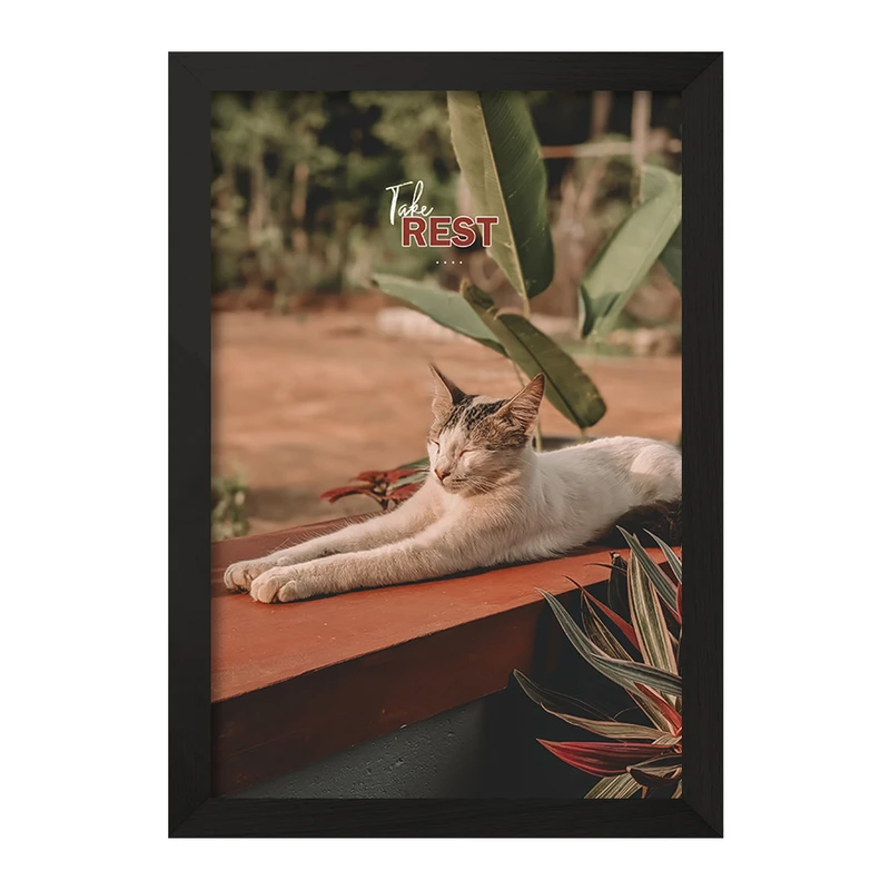 تابلو خندالو مدل گربه کد F10788