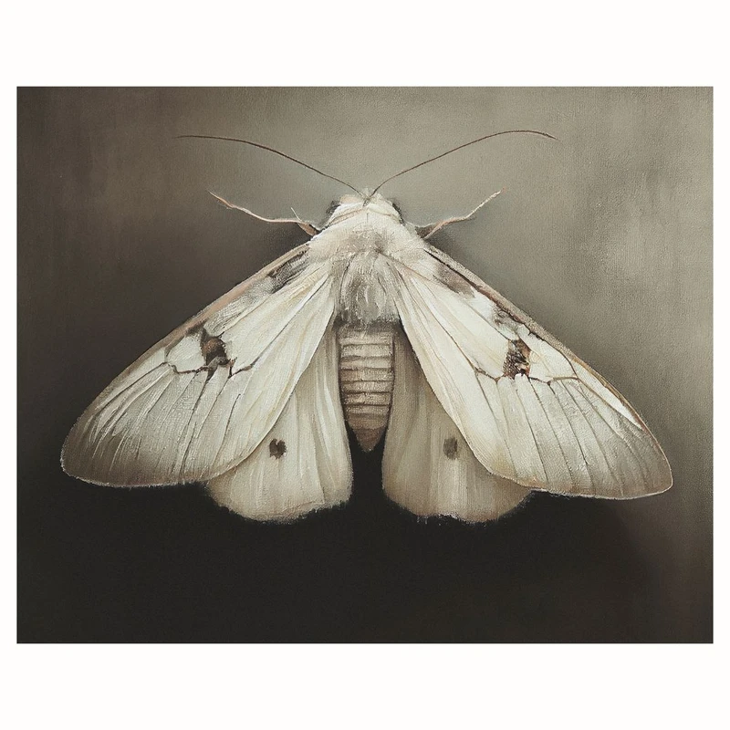 پوستر مدل چاپ پروانه 