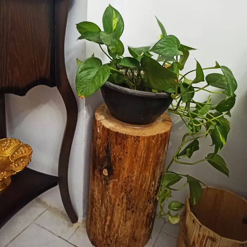 استند گلدان چوبی مدل تنه درخت کد 30