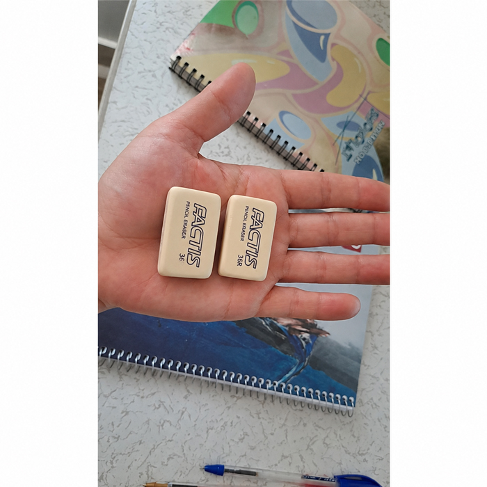 پاک کن فکتیس کد 36R بسته 2 عددی