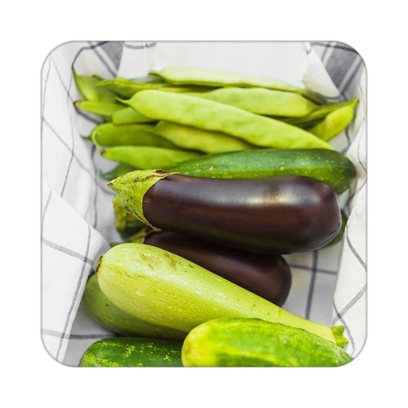 زیر لیوانی کاکتی طرح میوه مدل mp20222