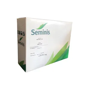 بذر ذرت شیرین سیمینس مدل Temptation