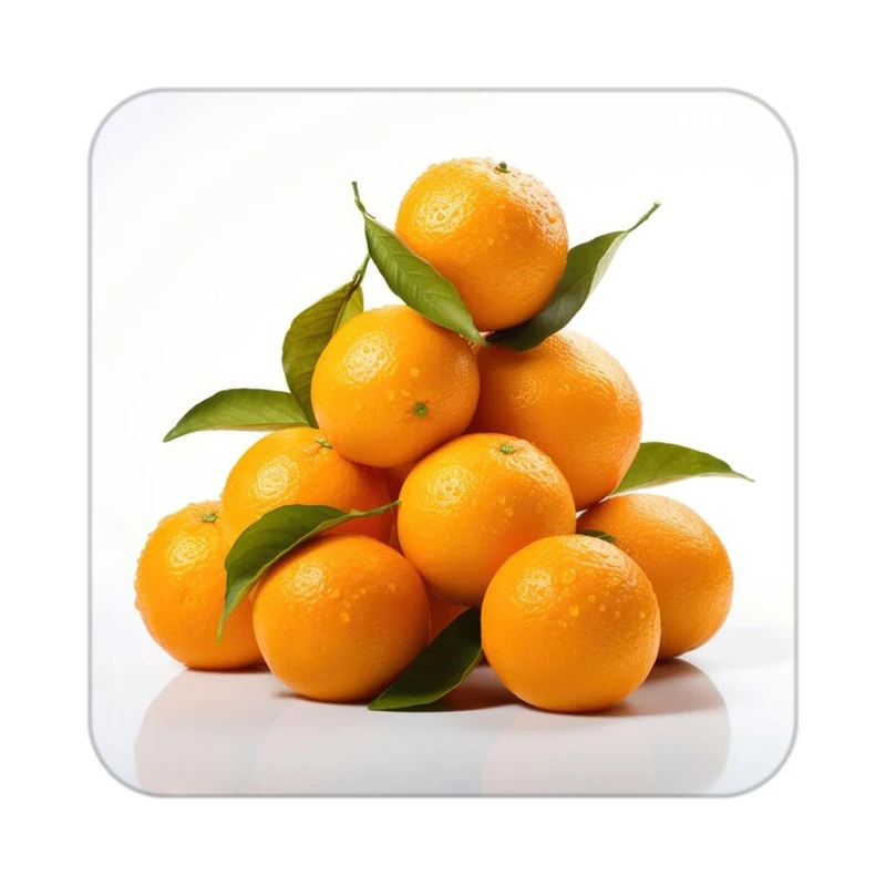 زیر لیوانی کاکتی طرح میوه مدل mp21764