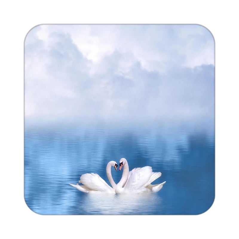 زیر لیوانی کاکتی مدل عاشقانه کد mp10505