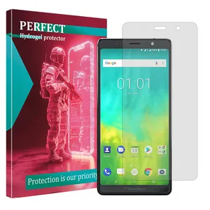 Perfect Tough model transparent screen protector suitable for BlackBerry Evolve mobile phone 