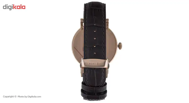 ساعت مچی عقربه ای مردانه آلبرت ریله مدل 321GQ13-SP33R-LN