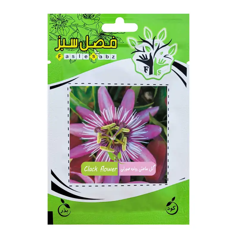 بذر گل ساعتی رونده صورتی فصل سبز کد FSSEED-041