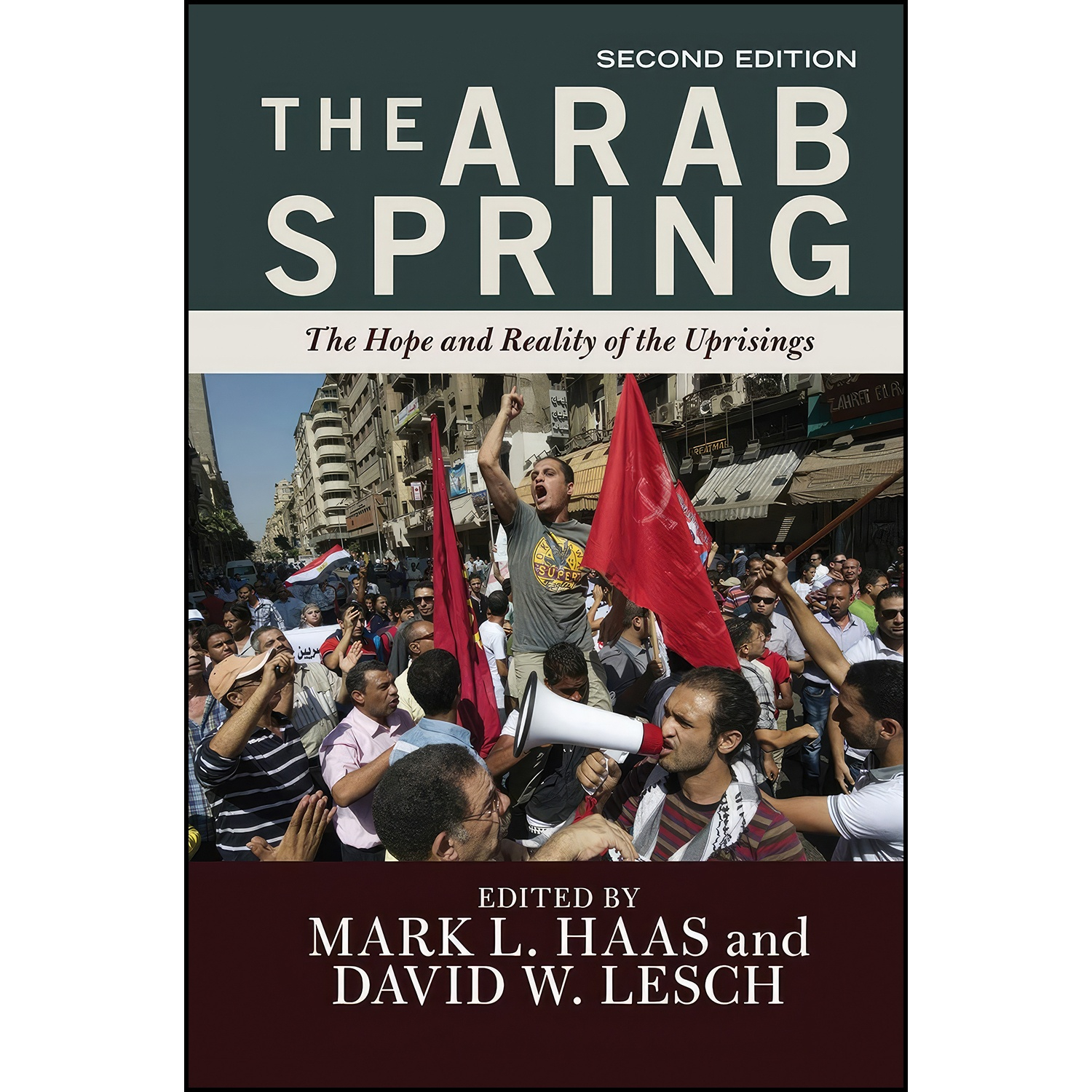 قیمت و خرید کتاب The Arab Spring Five Years Later Vol. 1 اثر Hafez