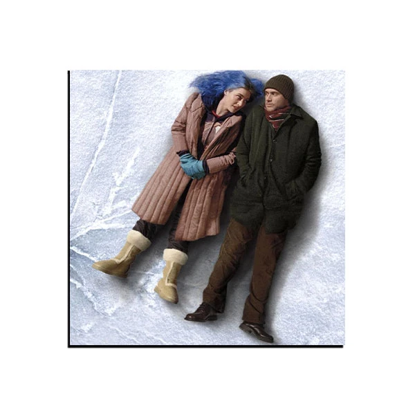 تابلو شاسی مدل فیلم درخشش ابدی یک ذهن پاک