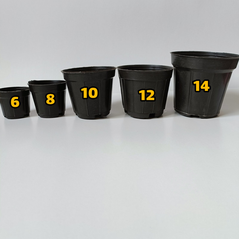 گلدان مدل کشاورزی کد A_12 بسته 20 عددی