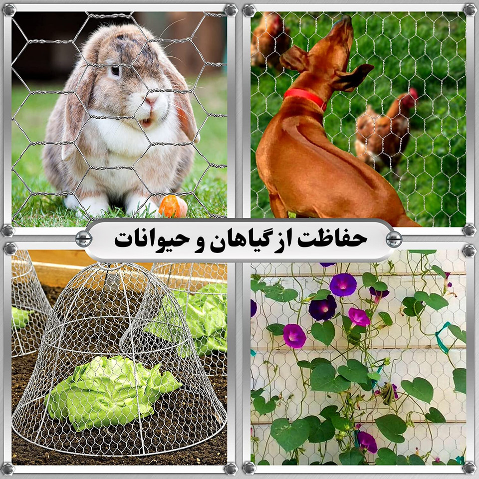 توری مدل مرغی گالوانیزه کد G18045 طول 45 متر