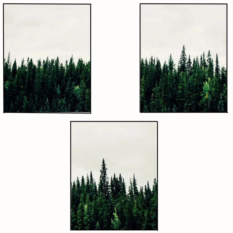 پوستر مدل مستر جنگلی -درختان کاج  مجموعه 3 عددی