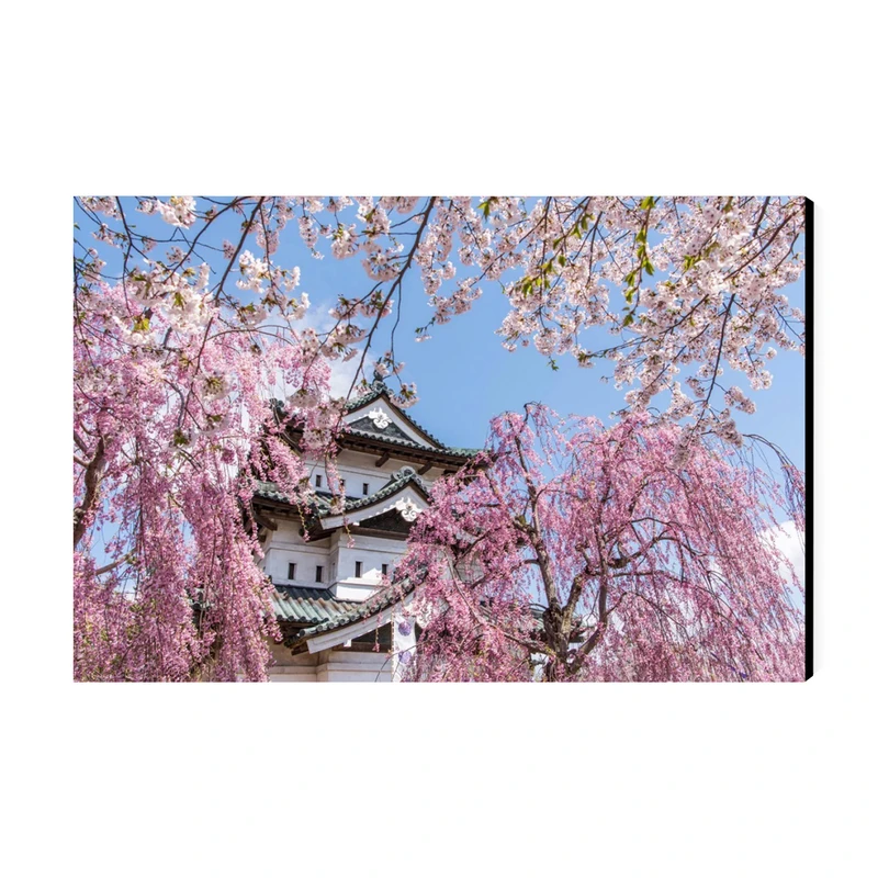 تابلو شاسی عرش طرح گردشگری ژاپن مدل جشنواره شکوفه‌های گیلاس پارک هیروساکی کد As6164