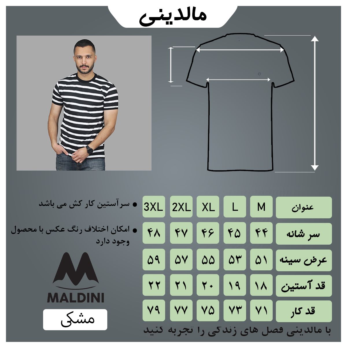تی شرت آستین کوتاه مردانه مالدینی مدل t-495 -  - 5