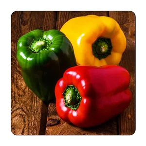 مگنت یخچالی گالری باجو طرح میوه کد fruit 14