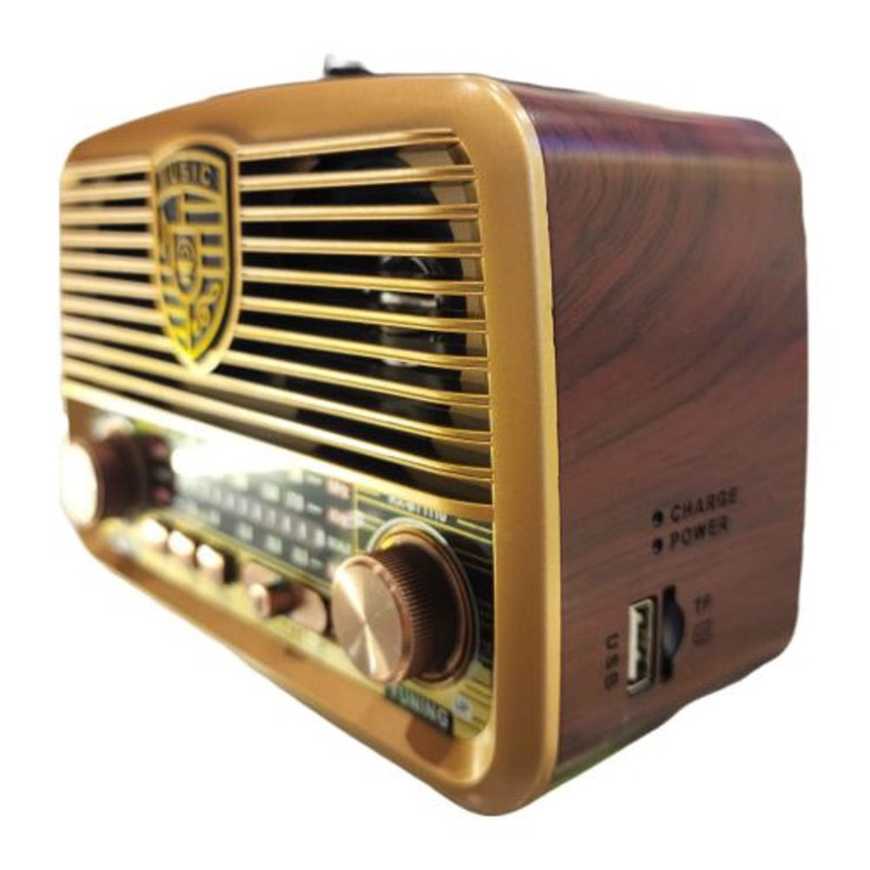 رادیو گولون مدل RX-BT1110