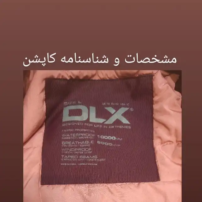 کاپشن زنانه دی ال ایکس مدل Tr2029