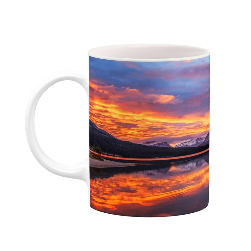 ماگ کاکتی مدل منظره کد mgh14161