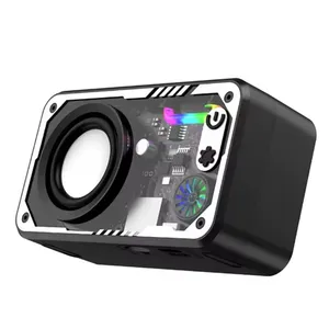 Sindvor Transparent Wireless Speaker