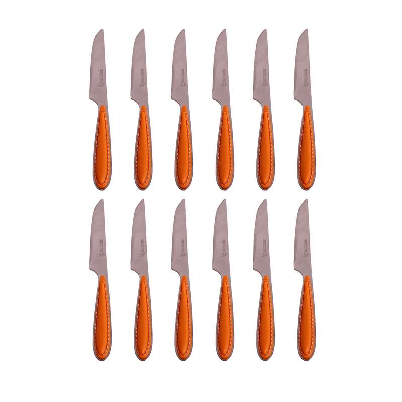 کارد میوه خوری ام جی کد 01 بسته 12 عددی
