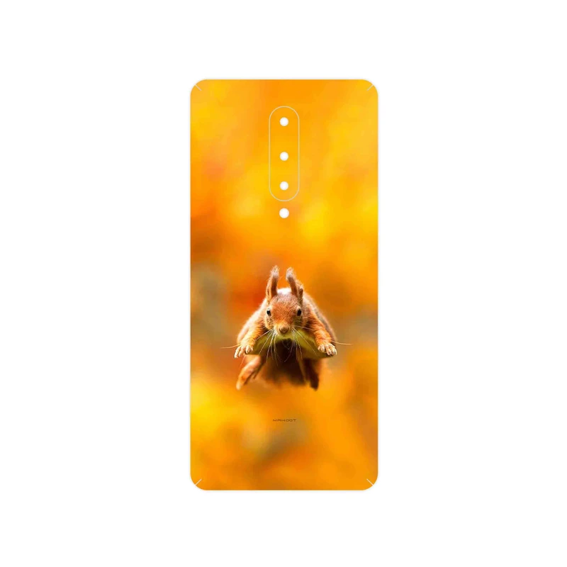 برچسب پوششی ماهوت مدل Squirrel مناسب برای گوشی موبایل وان پلاس 8