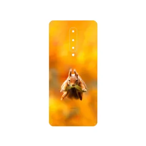 MAHOOT Squirrel Cover Sticker for OnePlus 8