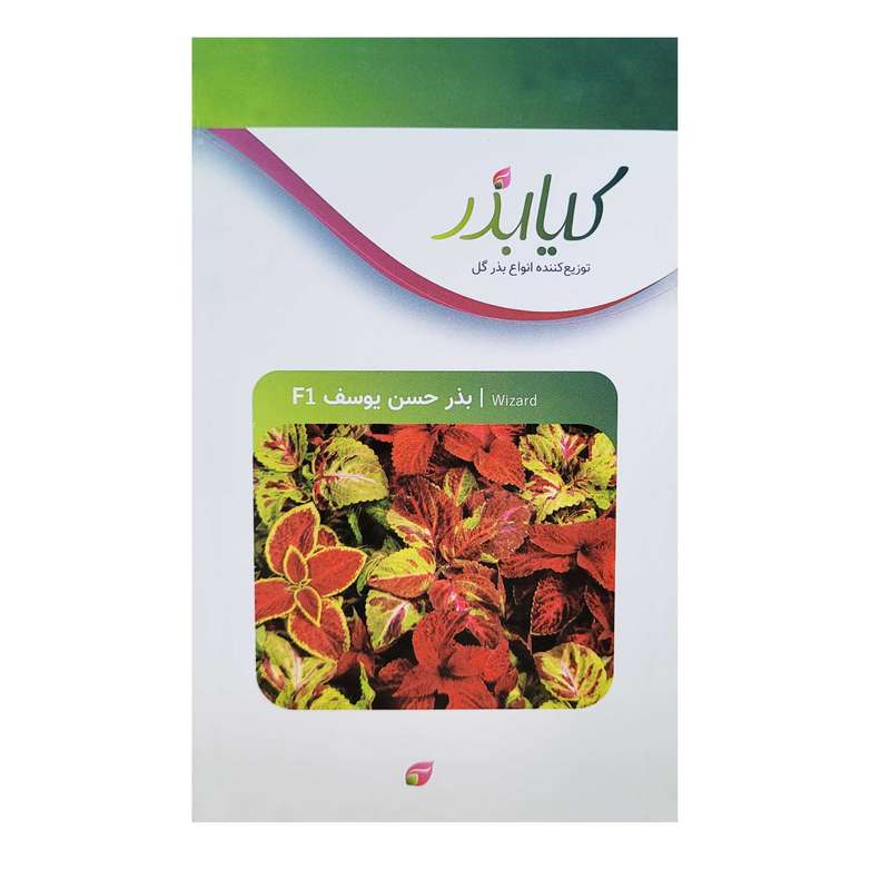 بذر گل حسن یوسف F1 کیا بذر کد 014