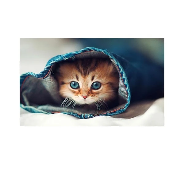    پادری طرح حیوانات کد M35M001-MA0022 سایز 76x46 سانتی متر