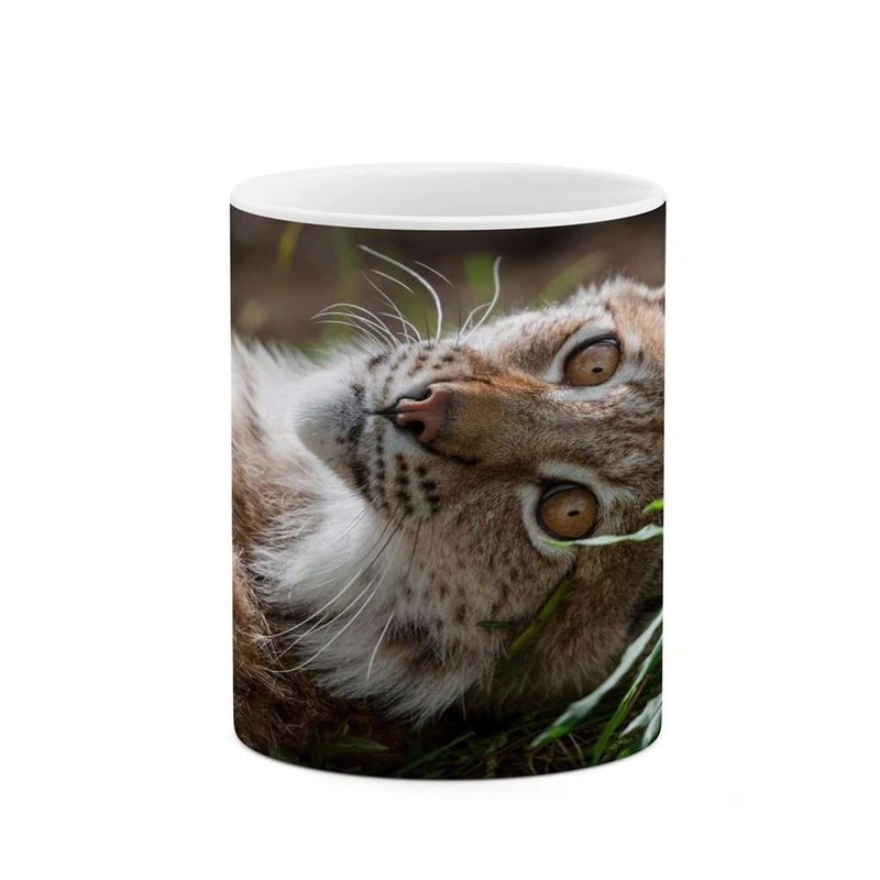 ماگ کاکتی مدل گربه کد mgh16679