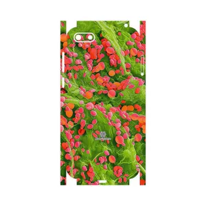 MAHOOT Atom Universe 3-FullSkin Cover Sticker for Huawei Y5 Lite