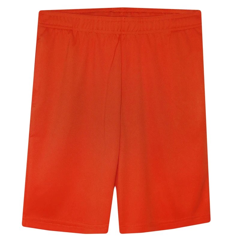 شلوارک ورزشی پسرانه آل این موشن مدل SEP-AULA0025