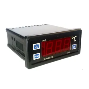 ترموستات دیجیتال مدل PT100