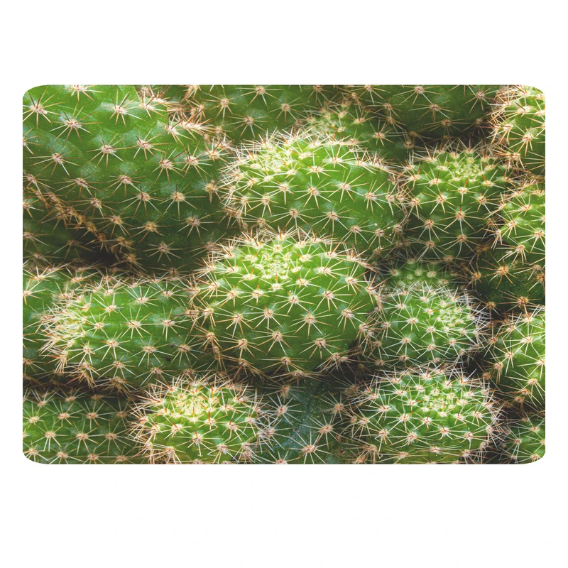 ماوس پد مدل کاکتوس کد 217 MM