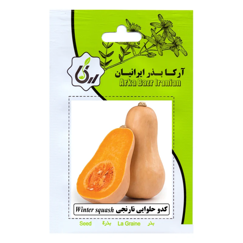 بذر کدو حلوایی نارنجی آرکا بذر ایرانیان مدل B