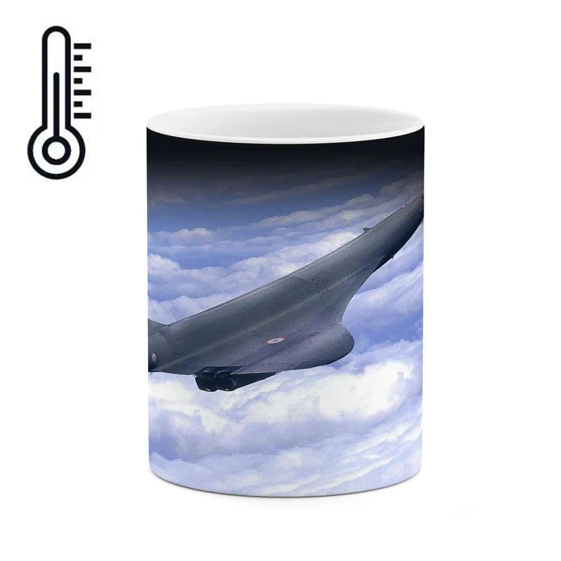 ماگ حرارتی کاکتی مدل هواپیما کد mgh16057