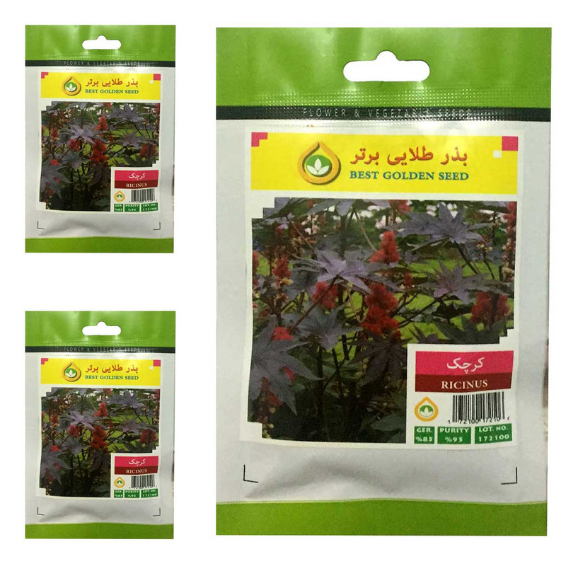 بذر گل کرچک بذر طلایی برتر کد BTB-27 مجموعه 3 عددی