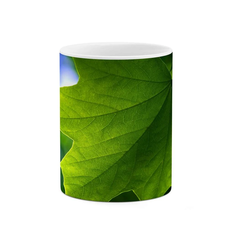 ماگ کاکتی مدل برگ کد mgh12200