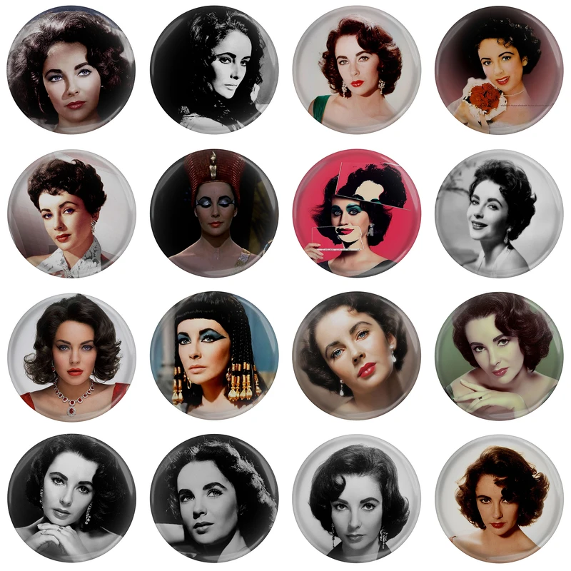 مگنت مدل بازیگر الیزابت تیلور کد مجموعه 16 عددی 