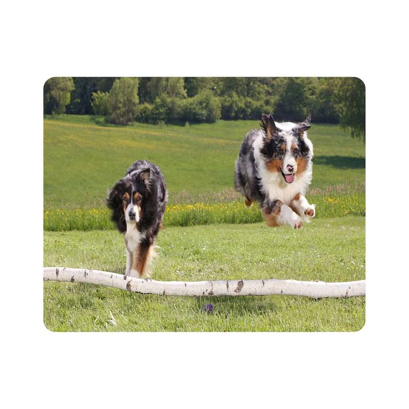 ماوس پد اطلس آبی طرح سگ مدل T7985