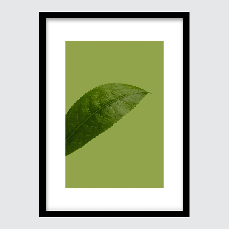 تابلو آرتستا مدل پوستر مینیمال نمای نزدیک برگ کد 027M