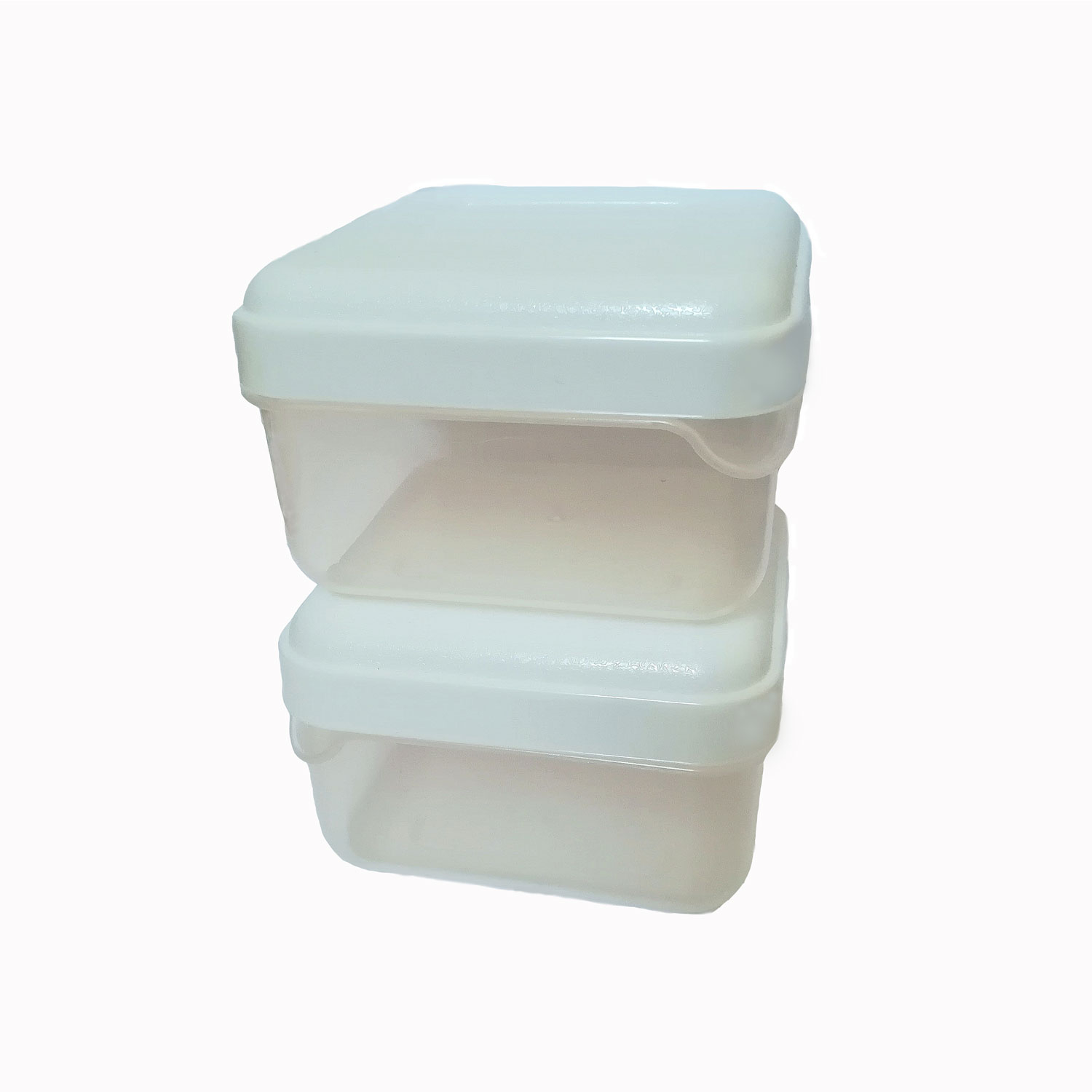 ظرف نگهدارنده مدل اسپاد بسته 2 عددی