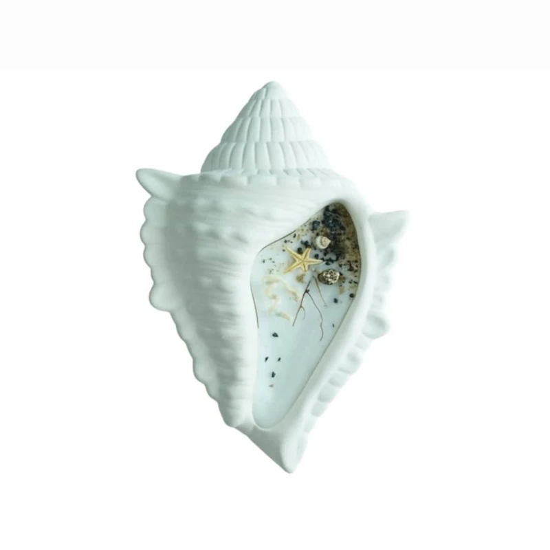 شمع مدل گوش ماهی دریایی