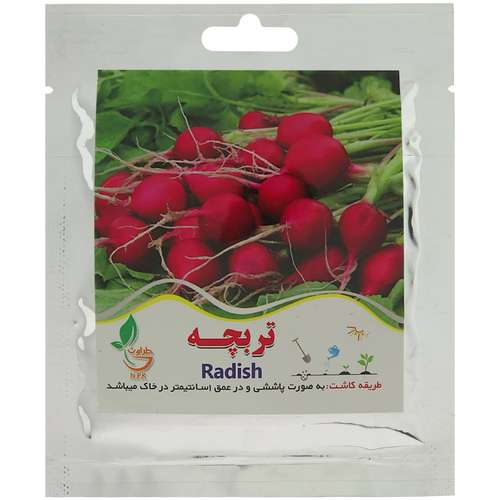 بذر تربچه طراوت کد B10