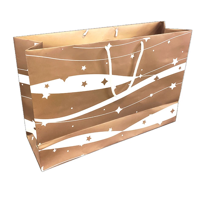 ساک دستی مدل لاکچری کد 166.3 بسته 12 عددی