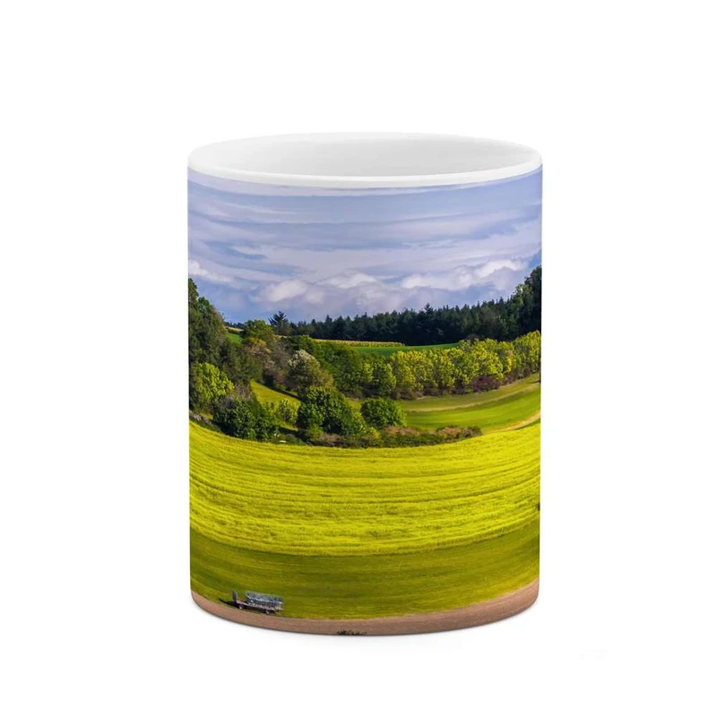 ماگ کاکتی مدل منظره کد mgh14220